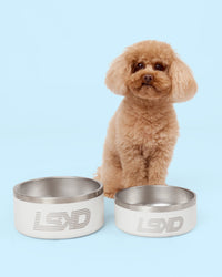 Pet Bowl Small (32oz) - Shale Beige | Thumbnail Index: 1