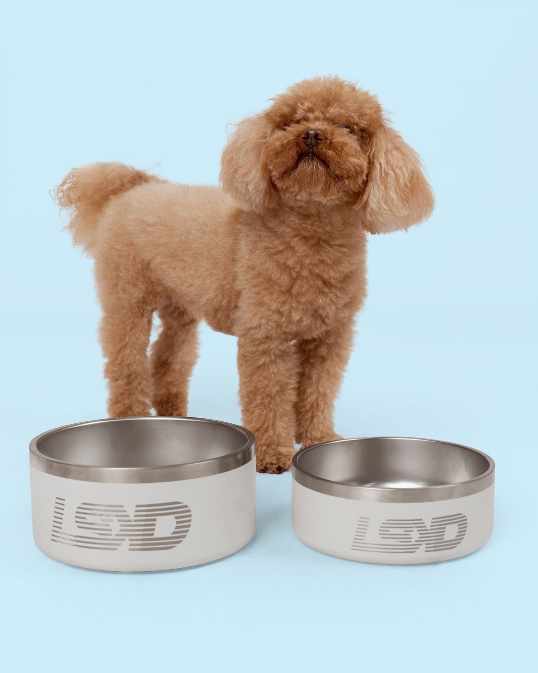 Pet Bowl Large (64 oz - Shale Beige - view 7